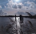 /album/kop-van-overijssel/img-4382-2-jpg/